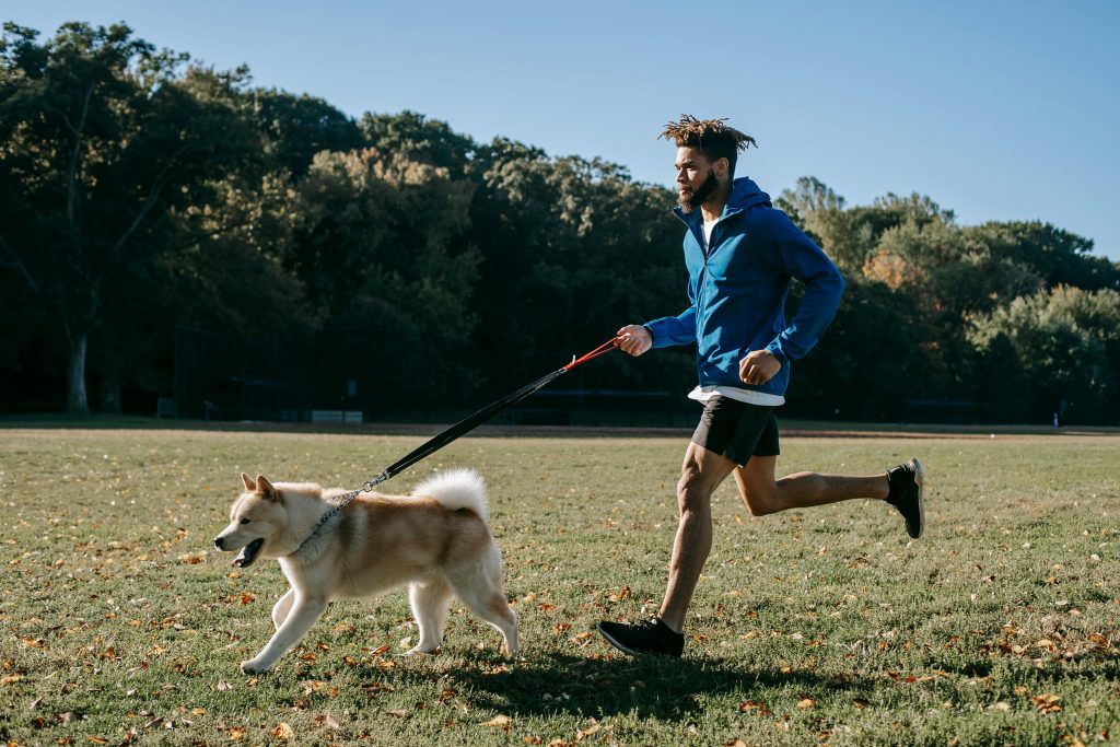 Why Life’s Better with a Dog by Your Side