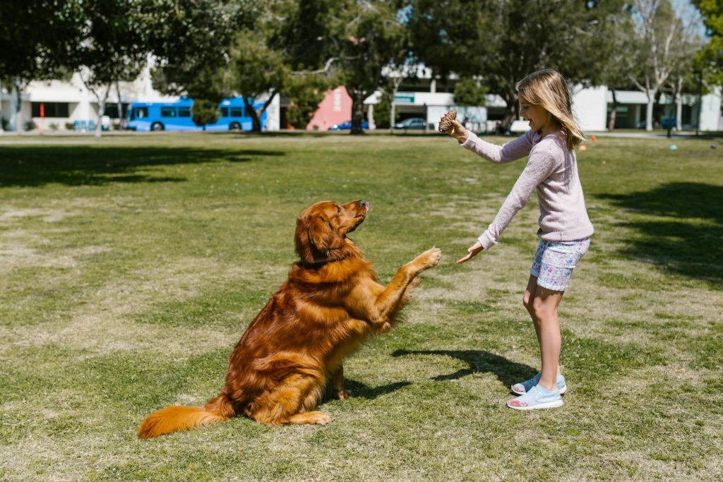 Kids and Dogs: A Guide to Safe, Happy Play